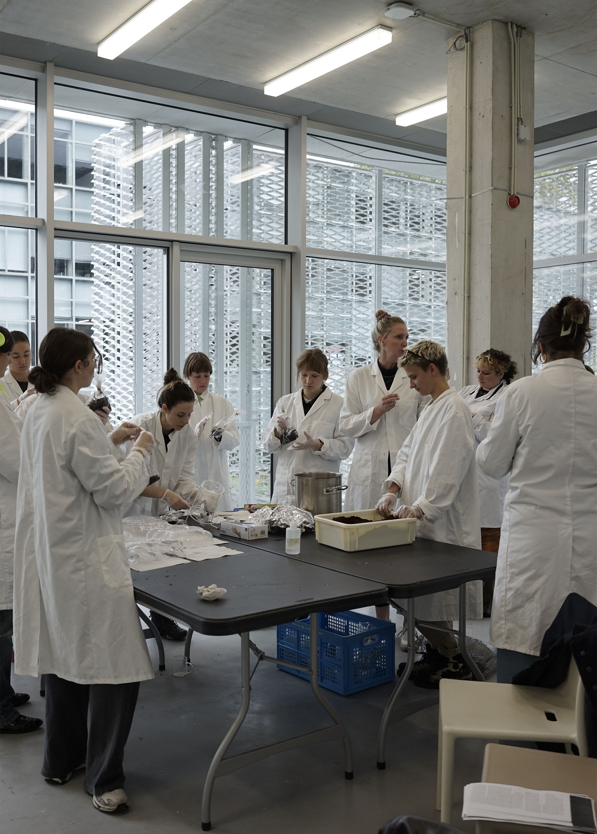 In situ lab setup for inoculating molds with the fungus